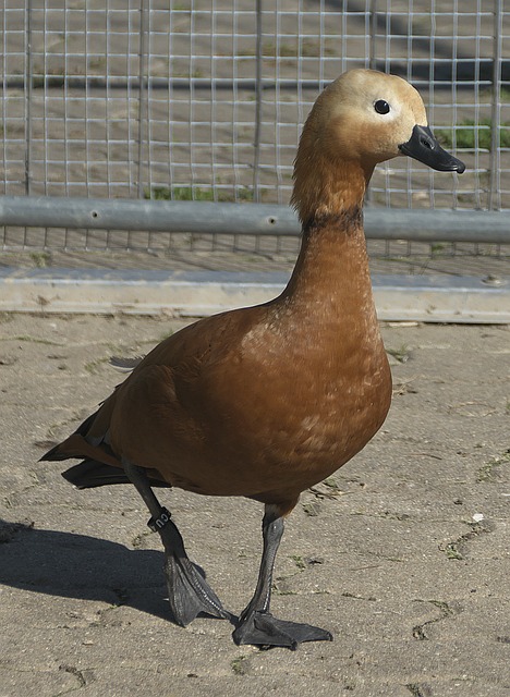 未命名